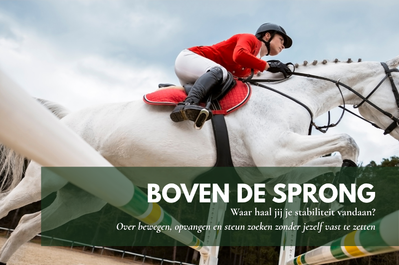 Paard en ruiter van bovenaf gefotografeerd tijdens een sprong over een hindernis.
