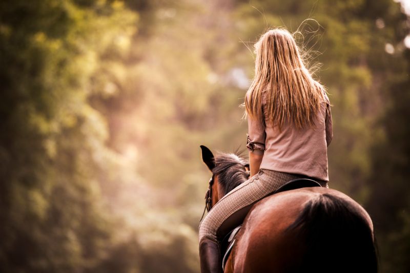 aardeneigenaar leert en werkt samen met haar paard via Horse Academy