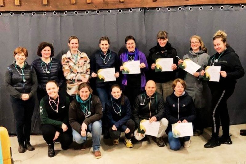 Deelnemers van een Horse Academy workshop leren samen met paarden in de praktijk, observeren gedrag en versterken hun band met hun paard.