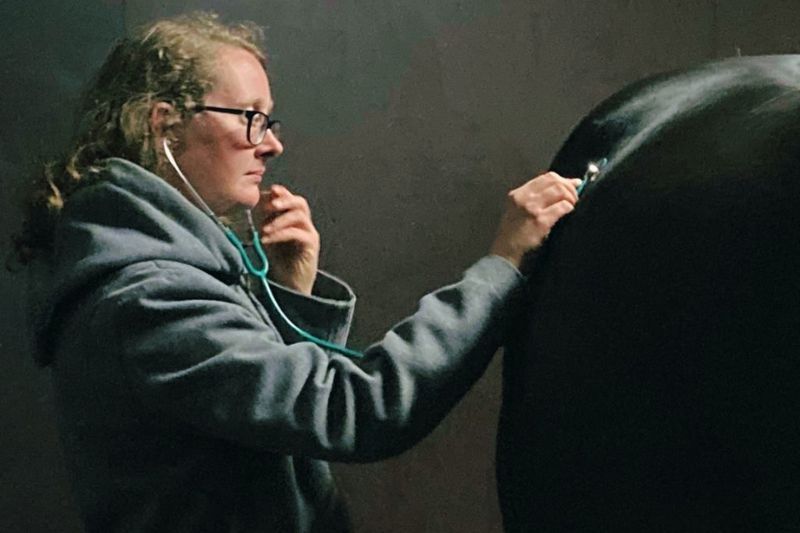 Een deelnemer aan een workshop onderzoek een paard met een stethoscoop | Workshops over Paardengezondheid