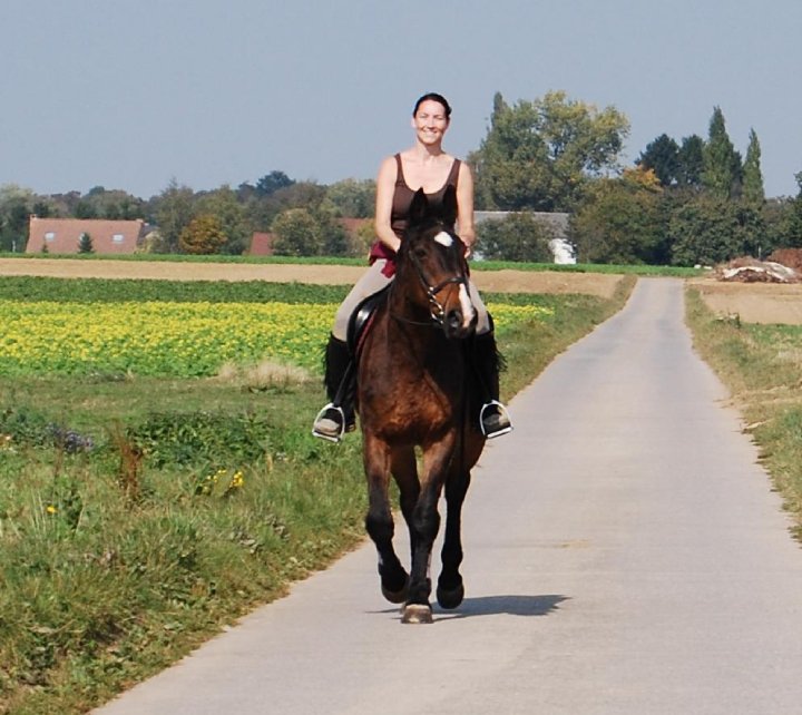 Klant van Horse Academy deelt positieve ervaring met paardencursus