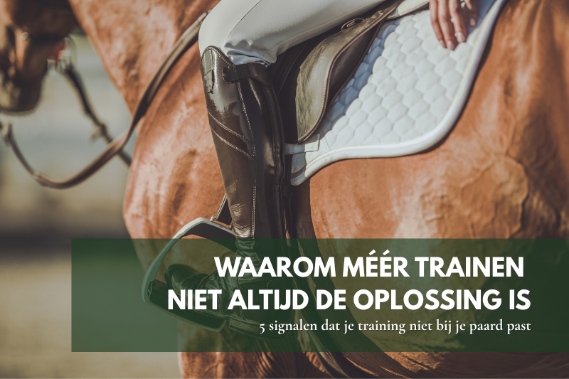 Gratis gids voor paardeneigenaars over het herkennen van signalen die wijzen op problemen met conditie, balans en lichaamshouding.