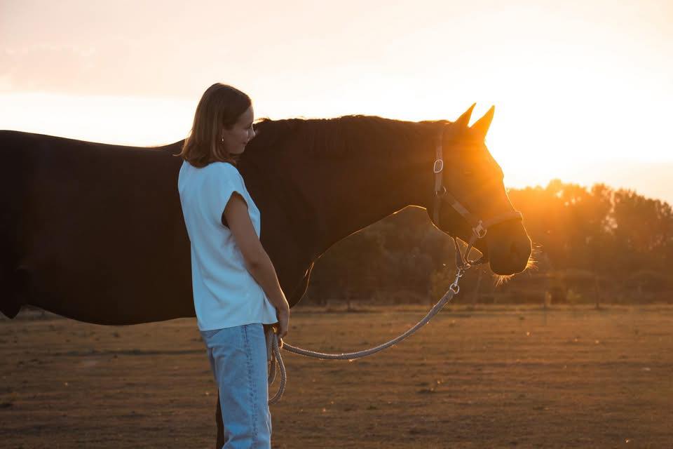Klant van Horse Academy deelt positieve ervaring met paardencursus