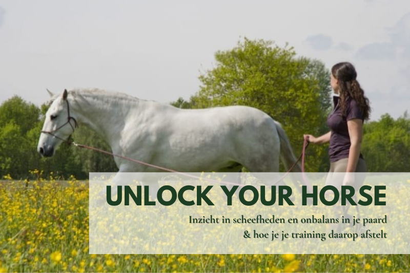 Aglaia Andersen werkt met een paard aan de longe om ontspanning en balans te verbeteren.