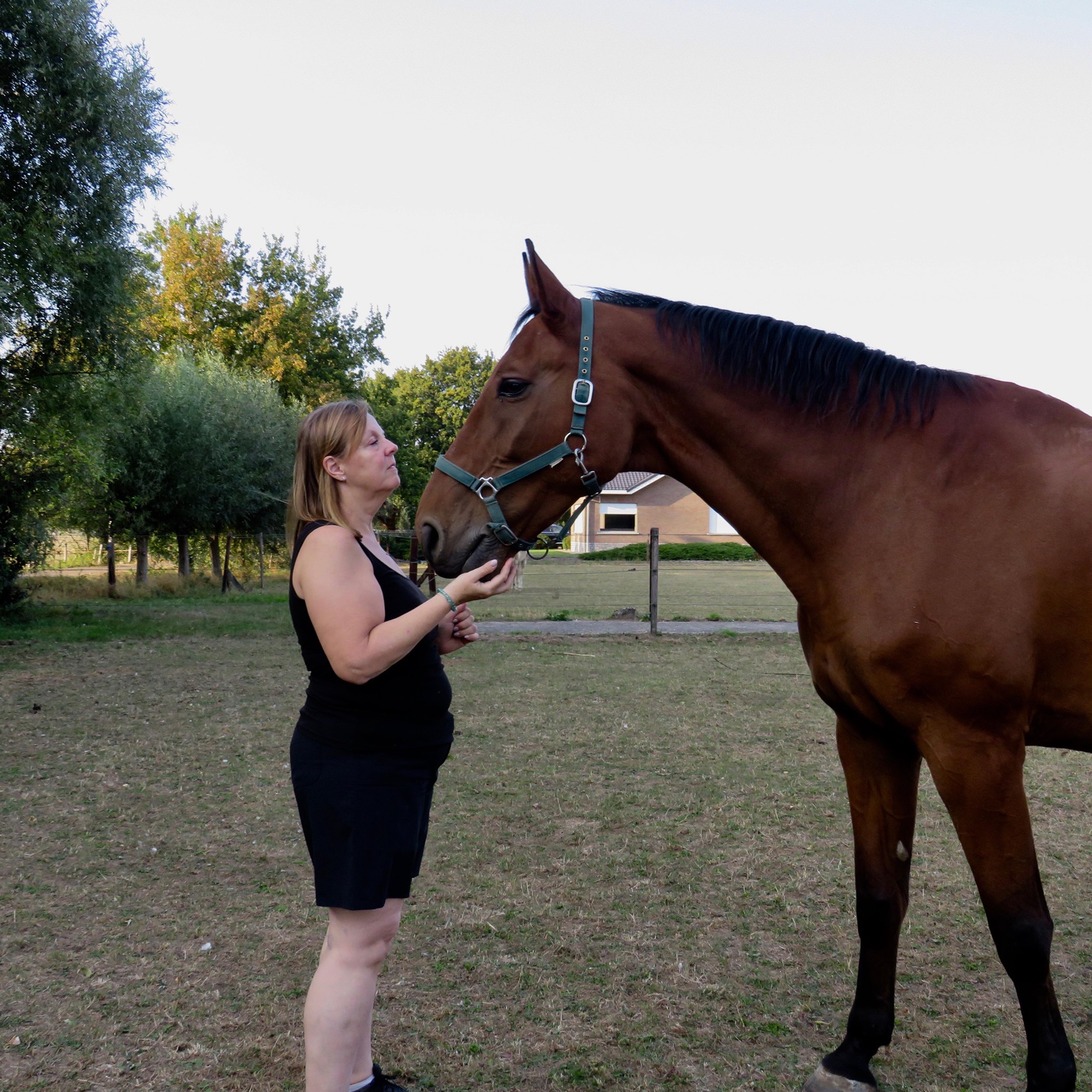 Klant van Horse Academy deelt positieve ervaring met paardencursus