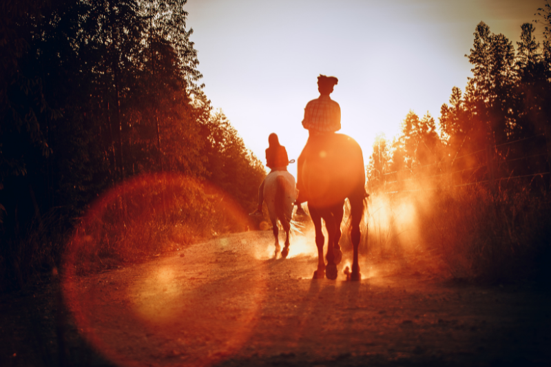Twee ruiters rijden met hun paarden tijdens een zomerse avondtraining terwijl de zon laag staat. De afbeelding illustreert de keuze tussen trainen in de avond of vroeg in de ochtend tijdens warme dagen.