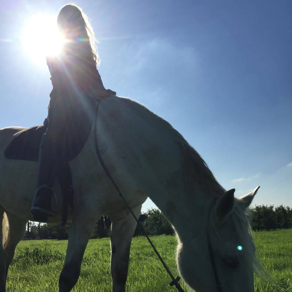 aardeneigenaar leert en werkt samen met zijn paard via Horse Academy