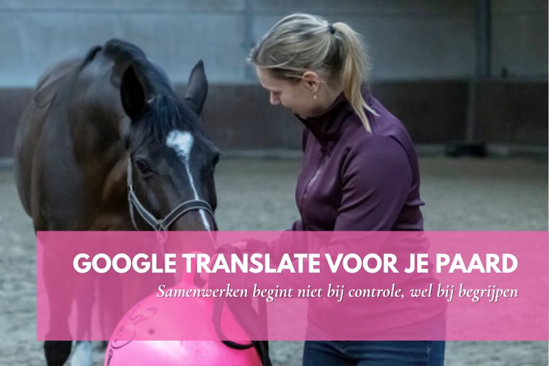 Portret van Katrien Vleugels (KV Horsetraining) met een paard; werken aan ontspanning.