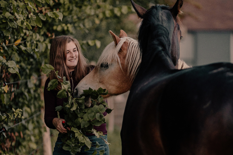 Natuurlijke verrijking voor paarden | Bomen in de huisvesting
