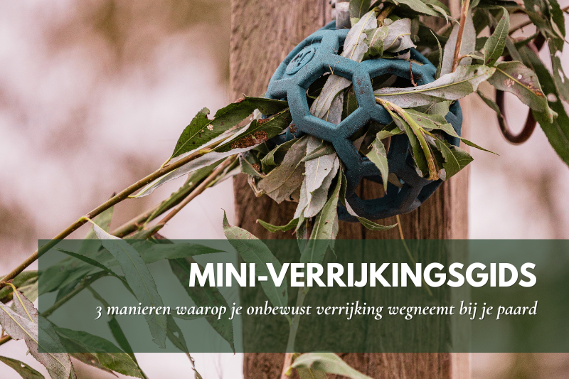 Flexibal gevuld met takken, natuurlijke verrijking in paardvriendelijke huisvesting.