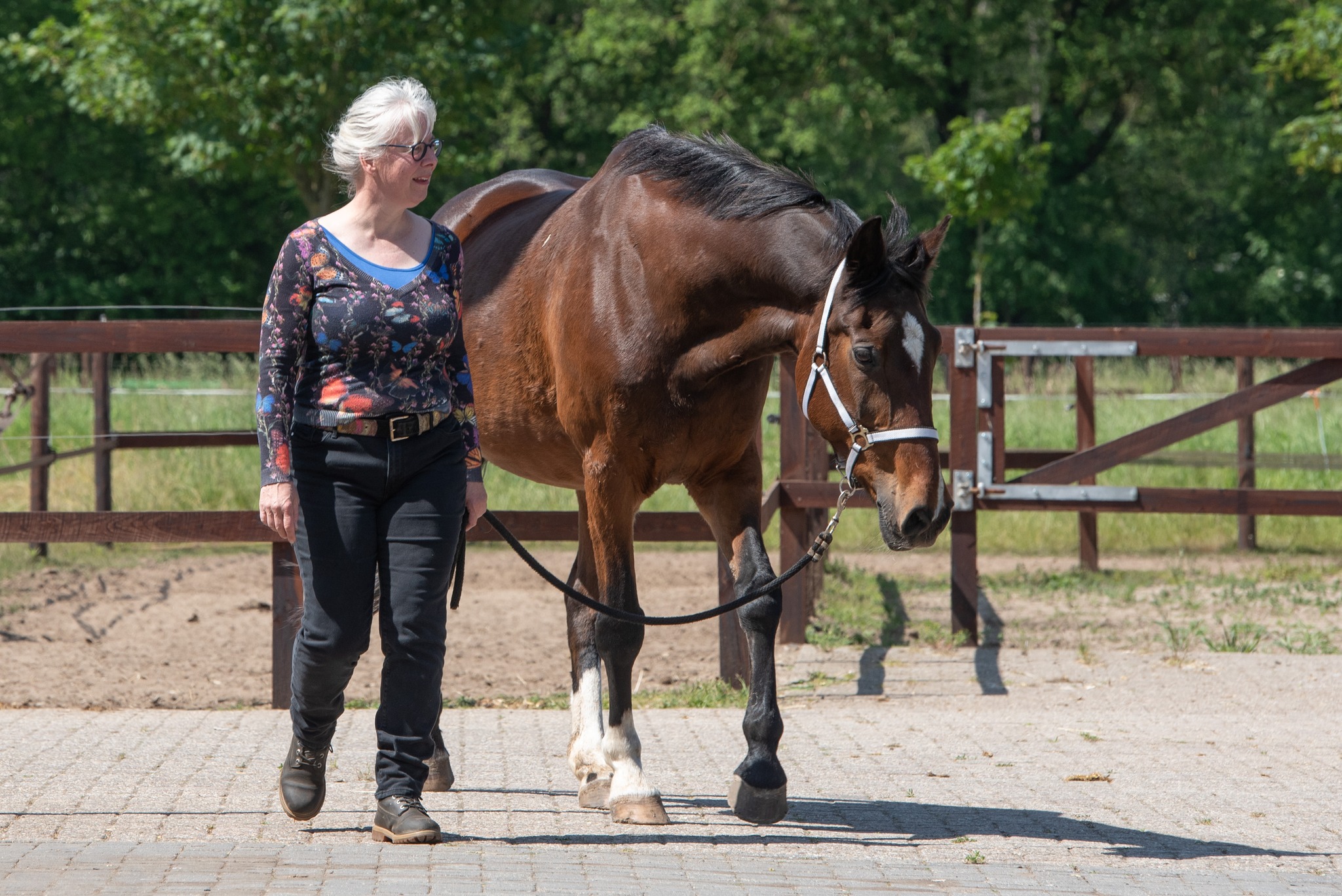 Portret van Rachaël Draaisma aan het werk met een paard | Horse Academy Expert in paardengedrag