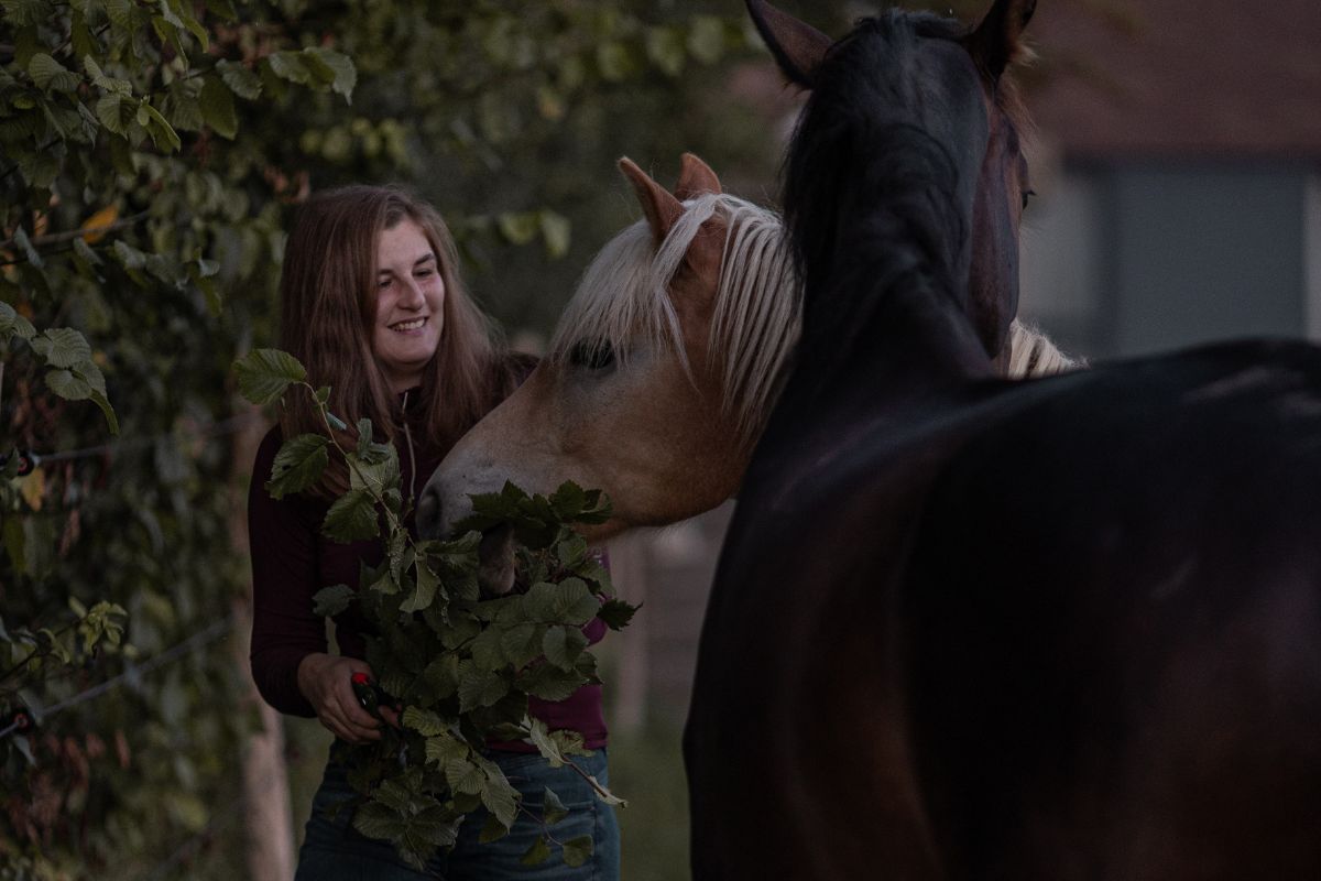 Portret van Lynn Haverhals met haar paarden | Horse Academy Expert in paardengedrag